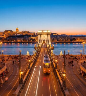 realted-article-image