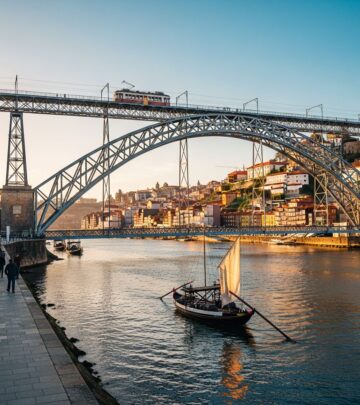 realted-article-image