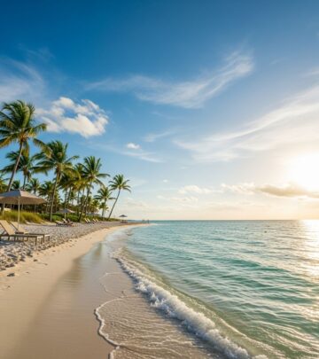 realted-article-image