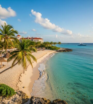 realted-article-image