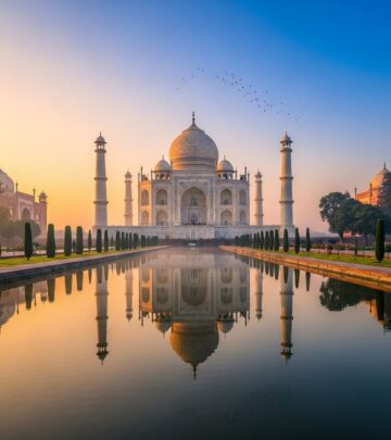 realted-article-image