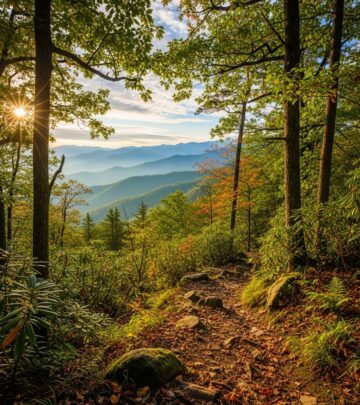 realted-article-image